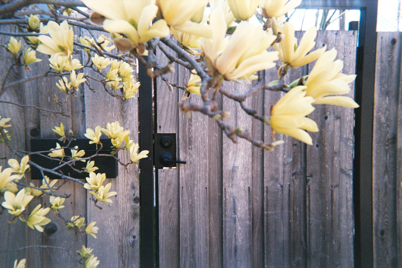 Magnolia Glen